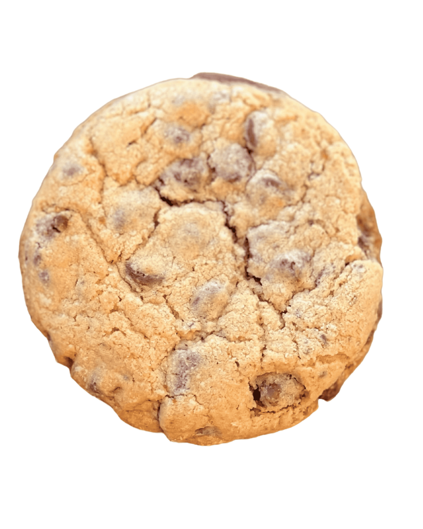 Chocolate Chip Chunk